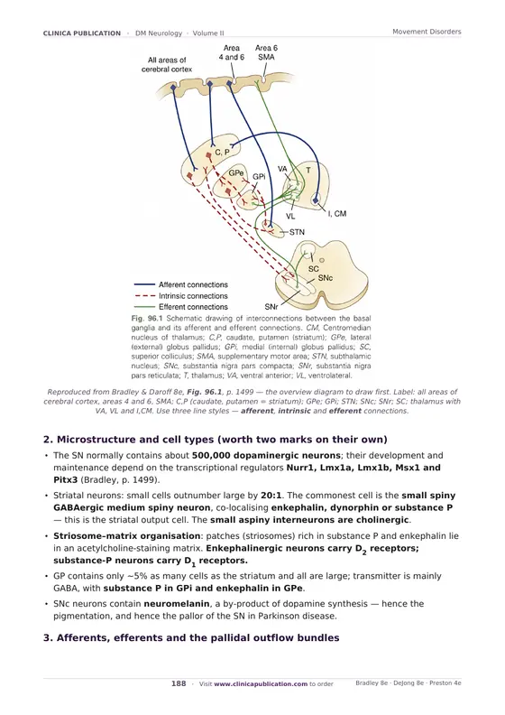 DM Neurology free sample, page 57