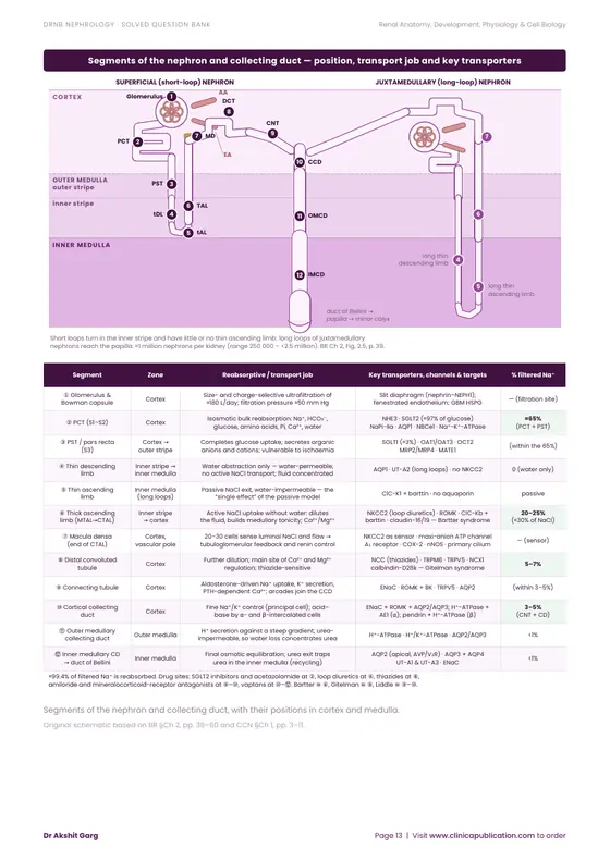 DrNB Nephrology free sample, page 13