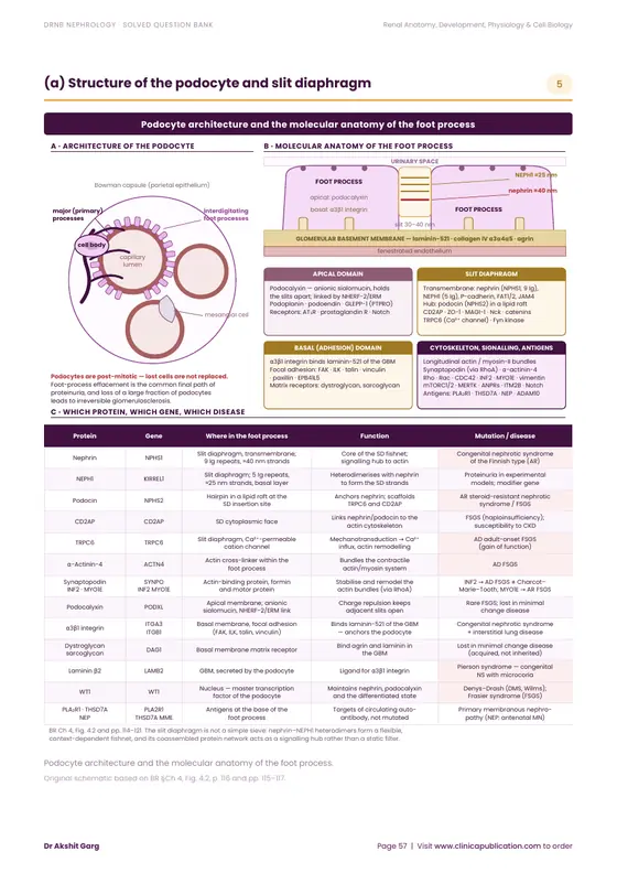 DrNB Nephrology free sample, page 57