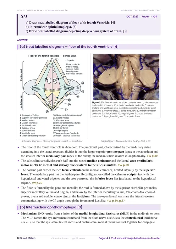 DrNB Neurosurgery free sample, page 13